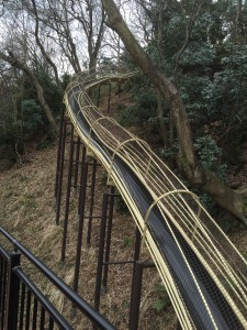 20160313_032708700_iOS